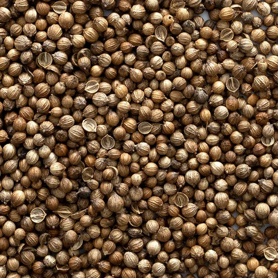 Coriander Seed, Whole 1 lb