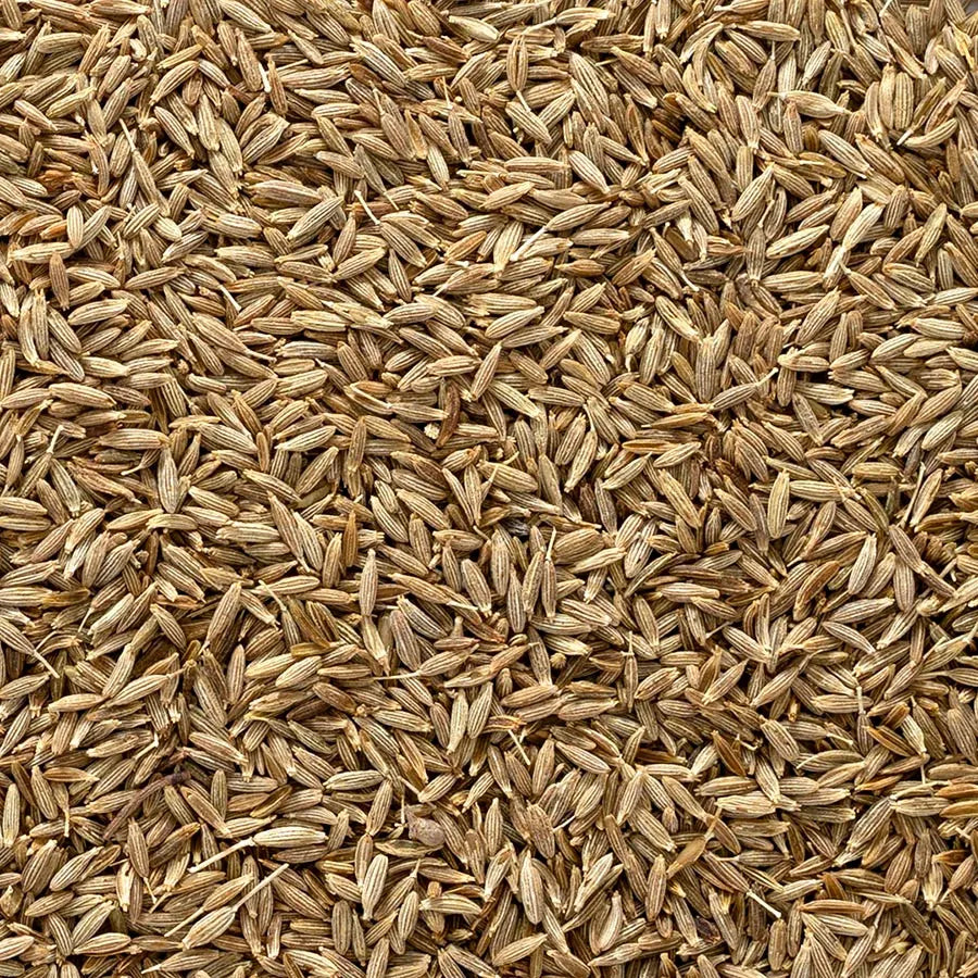 Cumin Seed (Dewhiskered), Whole 1 lb