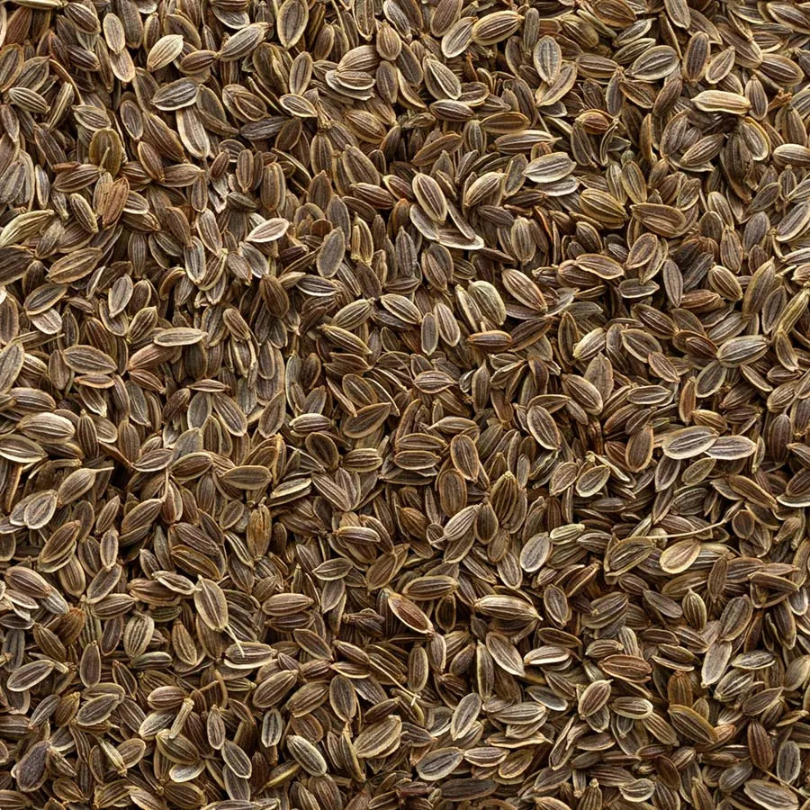 Dill Seed, Whole 1 lb