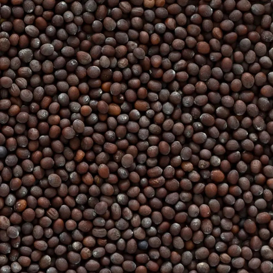 Brown Mustard Seed, Whole 1 lb