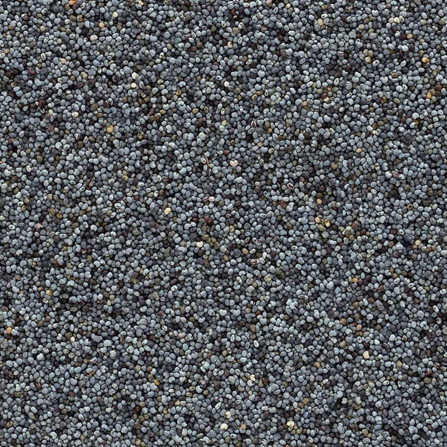 Poppy Seed, Whole 1 lb