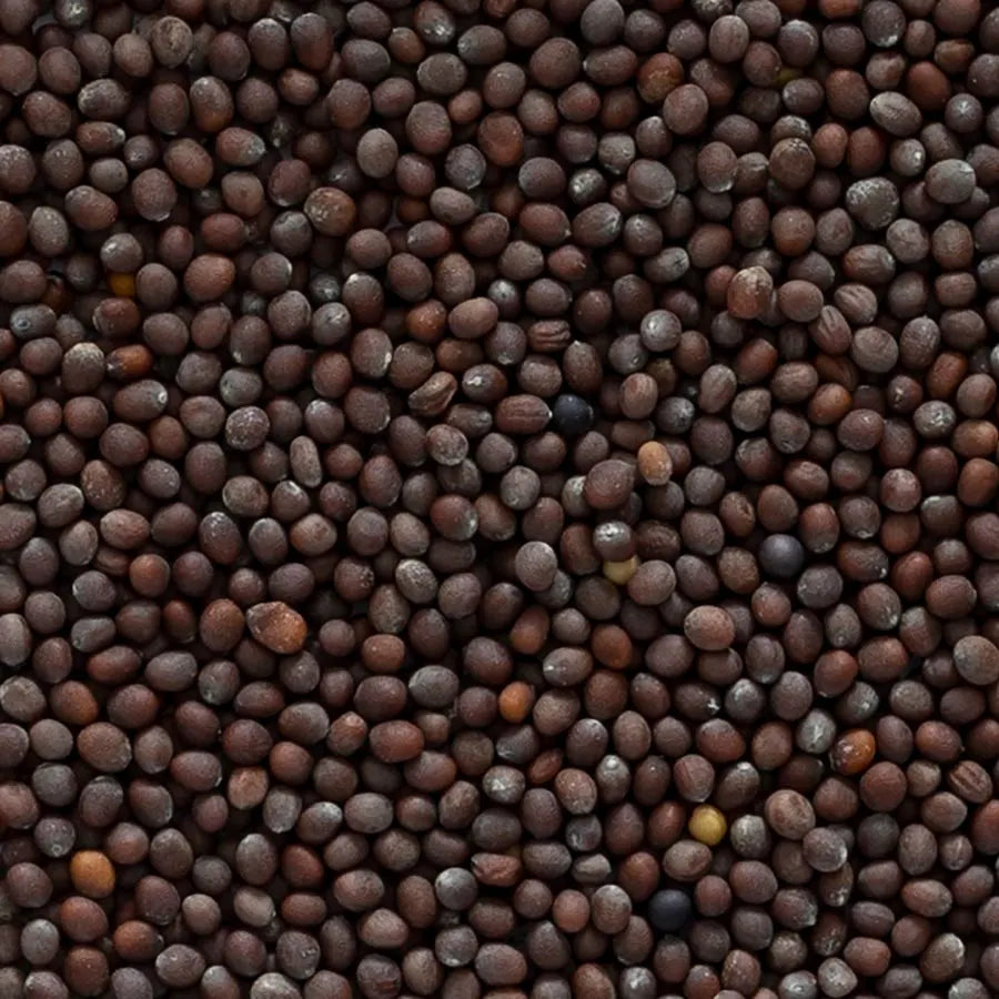 Brown Mustard Seed, Whole, Organic 1 lb.