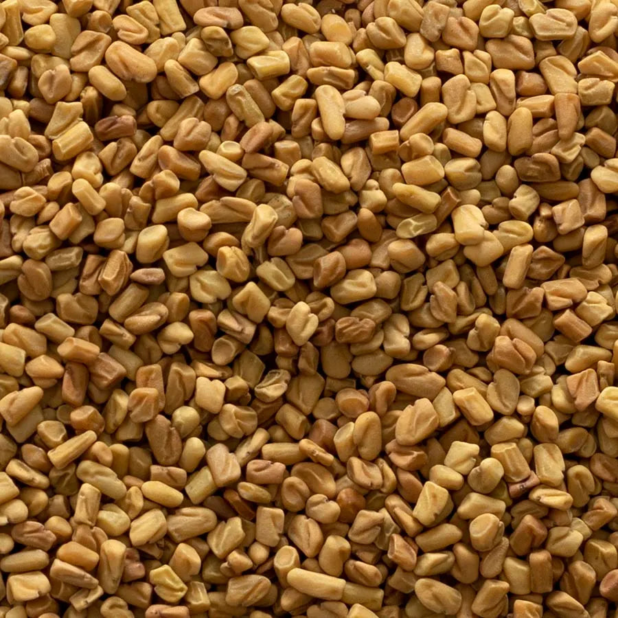 Fenugreek Seed, Whole, Organic 1 lb.