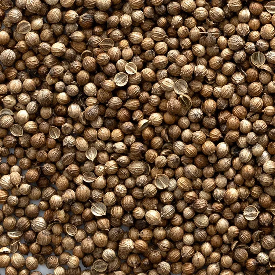 Coriander Seed, Whole, Organic 1 lb.