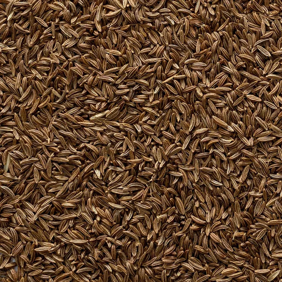 Caraway Seed, Whole, Organic 1 lb.