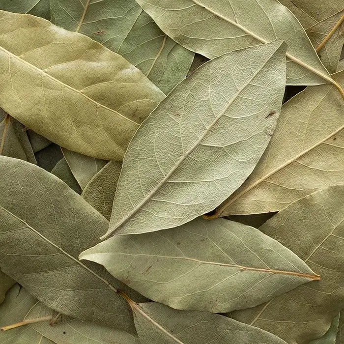 Bay Leaf, Whole 1/2 lb.