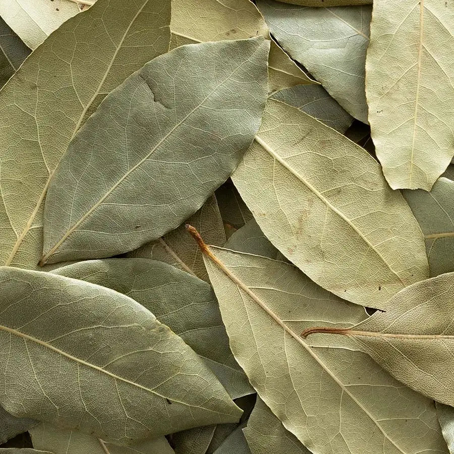 Bay Leaf, Whole Organic 1/2 lb.