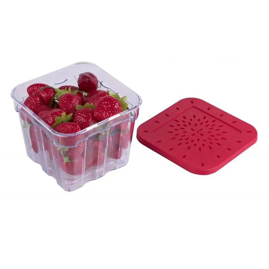 Harold Import Company Kitchen BerryFresh Produce Box 4" x 4"